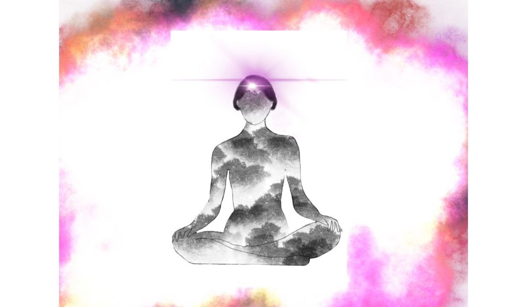 TOO MUCH | DONNA ASHWORTH